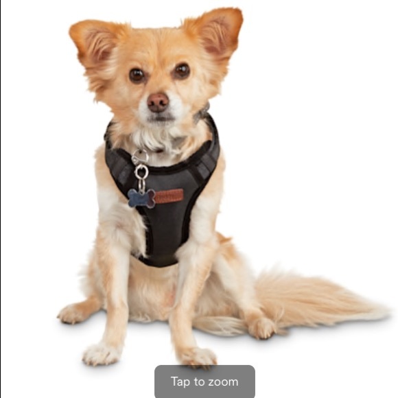 Reddy Road Trip Dog Black Dog Harness (small)